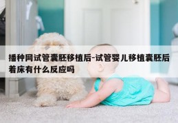 播种网试管囊胚移植后-试管婴儿移植囊胚后着床有什么反应吗