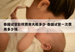 泰国试管影院费用大概多少-泰国试管一次费用多少钱
