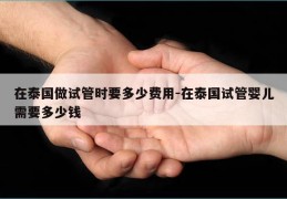 在泰国做试管时要多少费用-在泰国试管婴儿需要多少钱