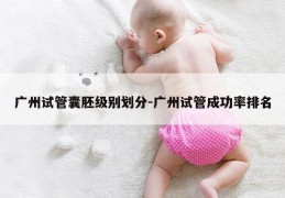 广州试管囊胚级别划分-广州试管成功率排名