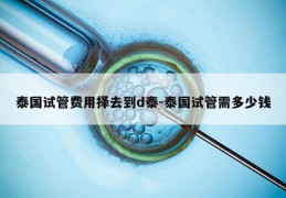 泰国试管费用择去到d泰-泰国试管需多少钱