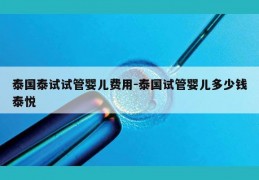 泰国泰试试管婴儿费用-泰国试管婴儿多少钱泰悦