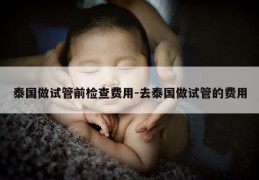 泰国做试管前检查费用-去泰国做试管的费用