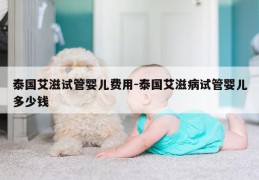 泰国艾滋试管婴儿费用-泰国艾滋病试管婴儿多少钱