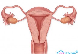 做试管婴儿前宫腔镜检查有必要吗?