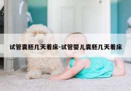 试管囊胚几天着床-试管婴儿囊胚几天着床