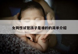女同性试管孩子是谁的的简单介绍