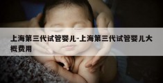 上海第三代试管婴儿-上海第三代试管婴儿大概费用
