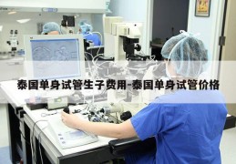 泰国单身试管生子费用-泰国单身试管价格