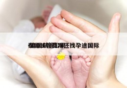 泰国试管费用还找孕途国际-泰国试管公司
