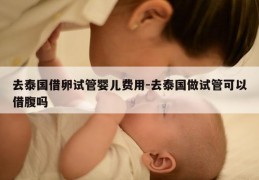 去泰国借卵试管婴儿费用-去泰国做试管可以借腹吗