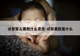 试管婴儿囊胚什么意思-试管囊胚是什么