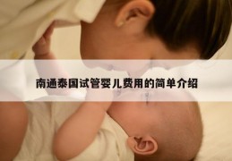 南通泰国试管婴儿费用的简单介绍