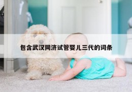 包含武汉同济试管婴儿三代的词条