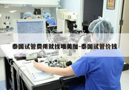 泰国试管费用就找唯美加-泰国试管价钱