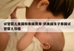试管婴儿美国和泰国费用-到美国生子泰国试管婴儿价格