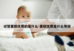 试管囊胚优质的是什么-囊胚优质是什么等级