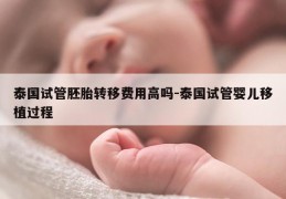 泰国试管胚胎转移费用高吗-泰国试管婴儿移植过程