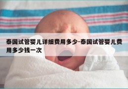 泰国试管婴儿详细费用多少-泰国试管婴儿费用多少钱一次