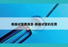 泰国试管费用贵-泰国试管的花费