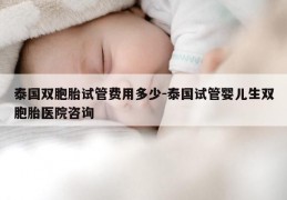 泰国双胞胎试管费用多少-泰国试管婴儿生双胞胎医院咨询