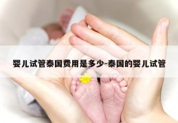 婴儿试管泰国费用是多少-泰国的婴儿试管