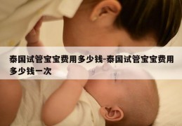 泰国试管宝宝费用多少钱-泰国试管宝宝费用多少钱一次