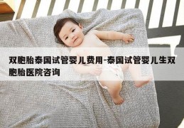双胞胎泰国试管婴儿费用-泰国试管婴儿生双胞胎医院咨询