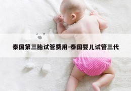 泰国第三胎试管费用-泰国婴儿试管三代