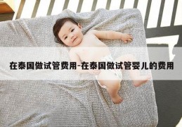在泰国做试管费用-在泰国做试管婴儿的费用