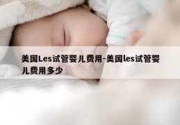 美国Les试管婴儿费用-美国les试管婴儿费用多少