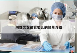 同性恋女试管婴儿的简单介绍