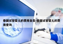 泰国试管婴儿的费用自贡-泰国试管婴儿的费用查询