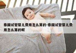泰国试管婴儿费用怎么算的-泰国试管婴儿费用怎么算的呢