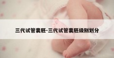 三代试管囊胚-三代试管囊胚级别划分