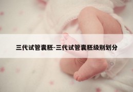 三代试管囊胚-三代试管囊胚级别划分