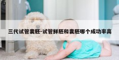 三代试管囊胚-试管鲜胚和囊胚哪个成功率高