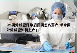 les国外试管怀孕后回国怎么落户-单身国外做试管如何上户口