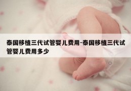 泰国移植三代试管婴儿费用-泰国移植三代试管婴儿费用多少
