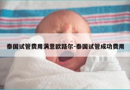 泰国试管费用满意欧路尔-泰国试管成功费用