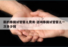 新的泰国试管婴儿费用-咨询泰国试管婴儿一次多少钱