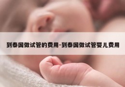 到泰国做试管的费用-到泰国做试管婴儿费用