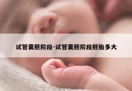 试管囊胚阶段-试管囊胚阶段胚胎多大