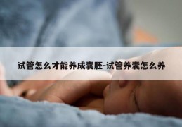 试管怎么才能养成囊胚-试管养囊怎么养