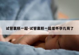 试管囊胚一超-试管囊胚一超是怀孕几周了
