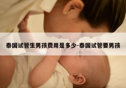 泰国试管生NH费用是多少-泰国试管要NH