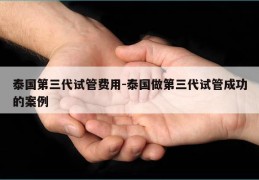 泰国第三代试管费用-泰国做第三代试管成功的案例