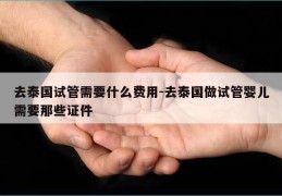 去泰国试管需要什么费用-去泰国做试管婴儿需要那些证件