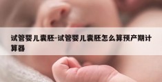 试管婴儿囊胚-试管婴儿囊胚怎么算预产期计算器