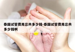 泰国试管费用总共多少钱-泰国试管费用总共多少钱啊